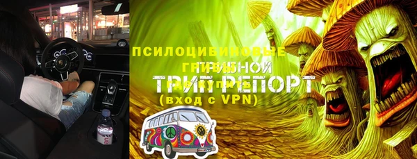 ГАЛЛЮЦИНОГЕННЫЕ ГРИБЫ Зеленодольск