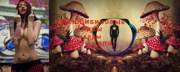 ГАЛЛЮЦИНОГЕННЫЕ ГРИБЫ Зеленодольск