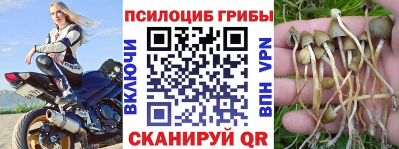 Купить где  Звенигово  Галлюциногенные грибы GOLDEN TEACHER 