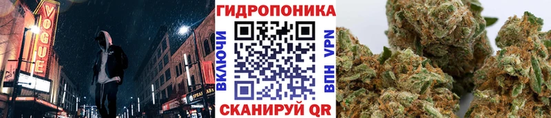 Канабис конопля Купить где Звенигово
